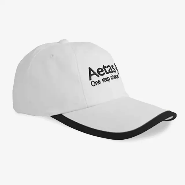 Embroidery Line Stitching Caps
