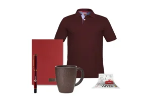 pk a Professional Kit 4