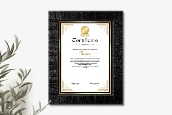 A4 1 A4 Stripes Black Framed Certificates