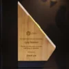Apex Trophy