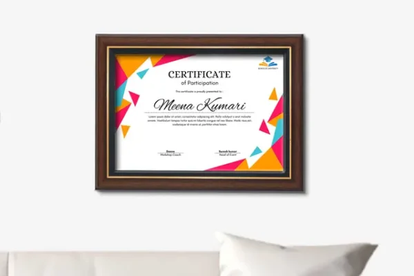 Brown with Gold Sash Framed Certificates