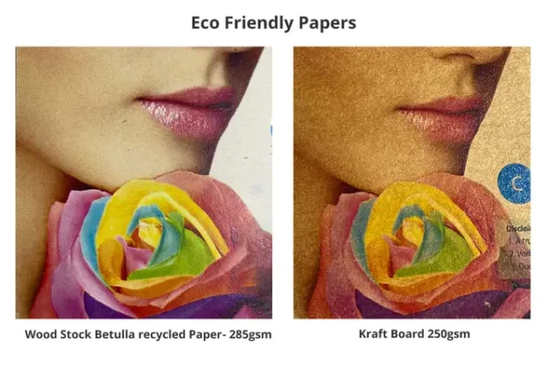 FB D Half Fold Brochure