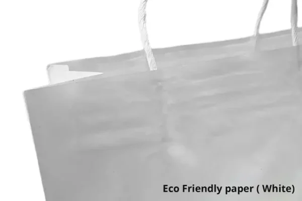 Gift Paper Bags
