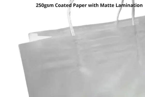 Gift Paper Bags