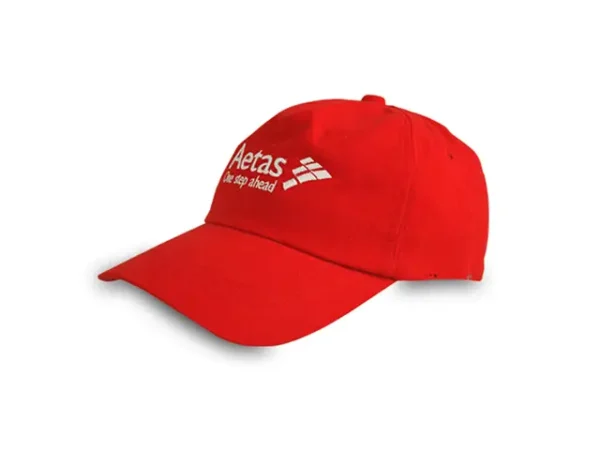 LS F Embroidery Line Stitching Caps