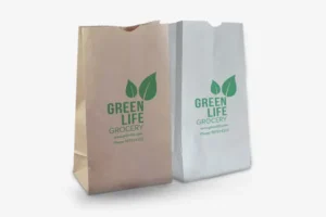 Medium Paper Pouch