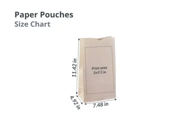 Medium Paper Pouch