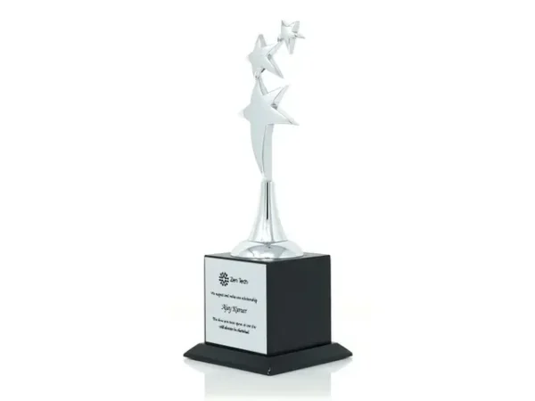 NS C Novel - Silver