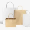 Paper Bag Samples