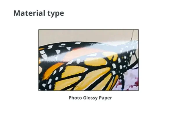 Photos Bulk Printing