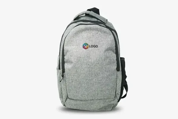 PL 1 Prominent Laptop Bag