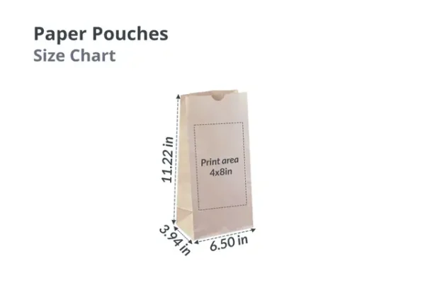 Small Paper Pouch