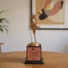 SB A Starlink Trophy - Bronze