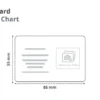 SC B Standard - ID Card and Lanyard Combo