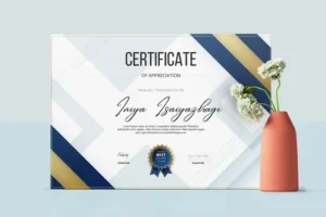 ST 1 Standard Paper Certificates