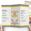 TB A Tri Fold Brochure