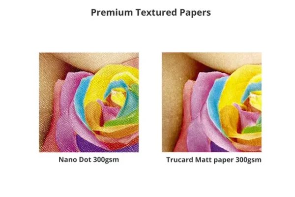TB E Tri Fold Brochure