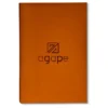 Soft-bound Tan Diary