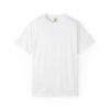 1549239978841515659_2048.jpeg Unisex Garment-Dyed T-shirt